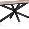 Avalox, eetkamertafel 170 x 98 cm - kleur driftwood - centrale poot