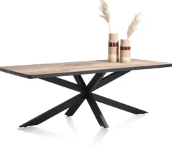Avalox, eetkamertafel 200 x 98 cm - kleur driftwood - centrale poot