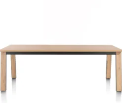 Delmonte, eetkamertafel 200 x 100 cm