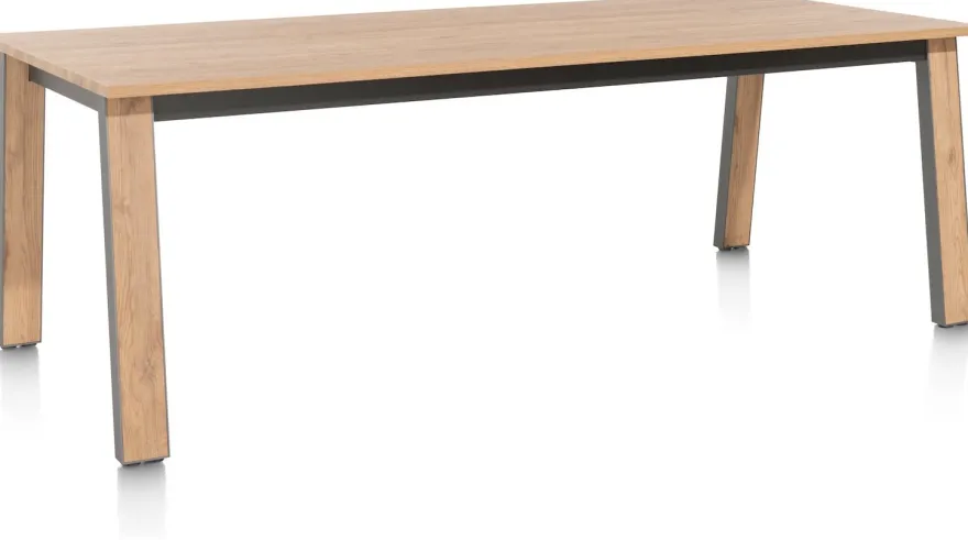 Delmonte, eetkamertafel 200 x 100 cm