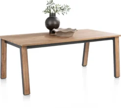 Delmonte, uitschuiftafel 200 (+ 80) x 100 cm