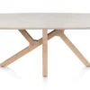 Himalaya, Eetkamertafel 210 x 120 cm. - houten poten / keramiek blad