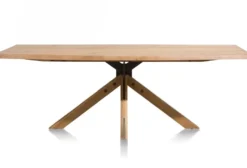 Jardino, eetkamertafel 200 x 100 cm - centrale poot