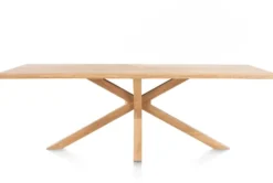 Nyborg, eetkamertafel 230 x 100 cm - rand boomvorm - centrale poot hout