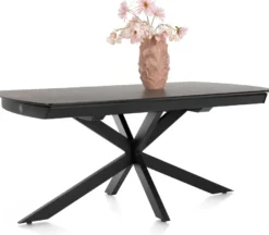 Pavalon, uitschuiftafel 170 (+ 60) x 100 cm - Antraciet
