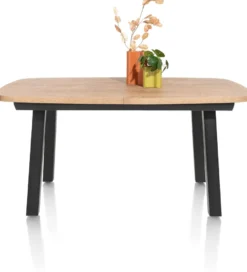 Pavarotti, uitschuiftafel 160 (+ 50) x 110 cm - 4-poot - metaal - tafelpoten (4) metaal